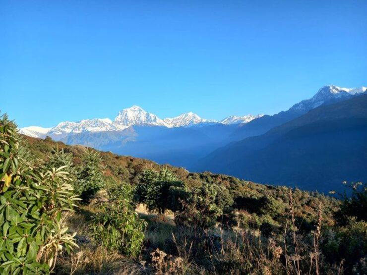 Kathmandu- 8 Days Ghorepani Poonhil Trek - Trek Overview