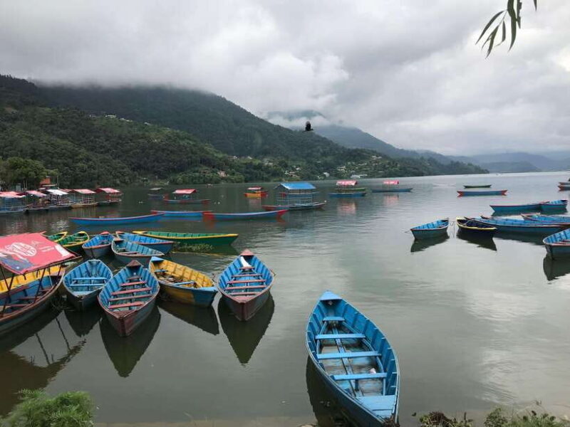 Kathmandu: 8 days Nepal tour (Kathmandu, Chitwan & Pokhara) - Exploring the Heart of Nepal: What You Can Expect