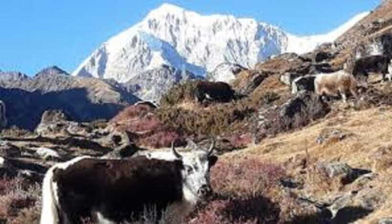 Kathmandu: 8 Night 9 Days Dudh kunda Trek - Up Close with the Himalayas: Pare Danda and Junbesi