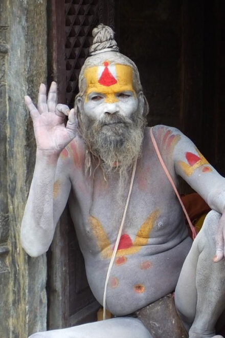 Kathmandu: All Inclusive One Day Guided City Tour - Inclusions and Services