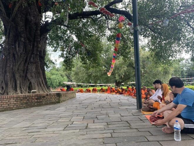 Kathmandu and Birth Place of Buddha ( Lumbini ) Tour - Cultural Experiences