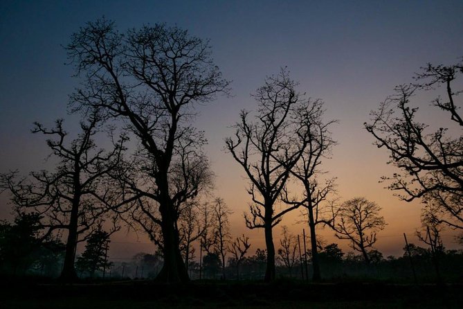 Kathmandu and Chitwan City Tour - Wildlife Activities and Experiences