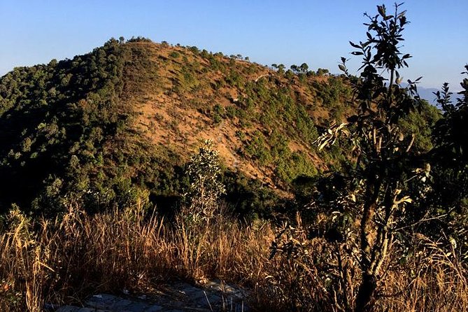 Kathmandu Best Scenic Day Hiking to Champa Devi Hill - Common Questions
