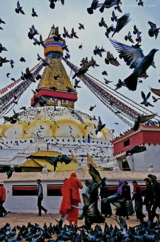 Kathmandu: Bhutan, Lhasa, and Nepal 10-Day Tour - The Heart of Tibet: Lhasa and Its Sacred Landmarks