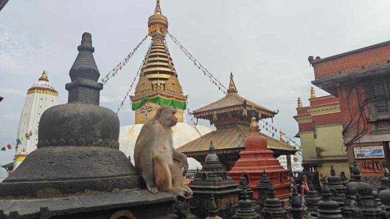 Kathmandu: Buddhist Stupas Tour with Kapon Monastery Visit - Exploring the Spiritual Heart of Kathmandu