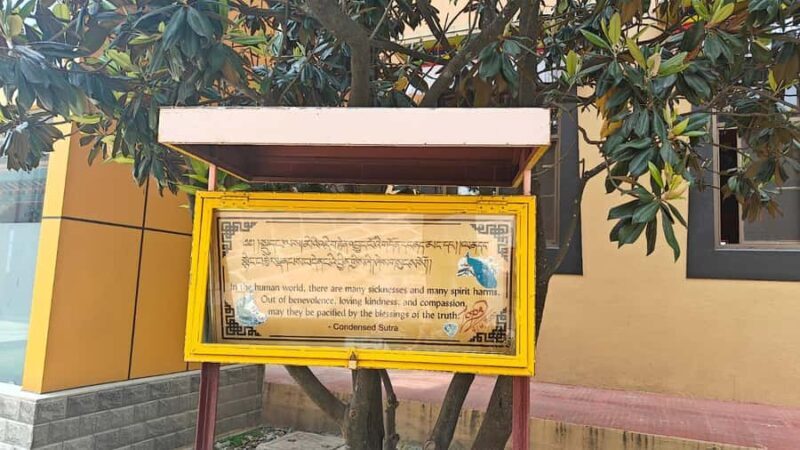 Kathmandu: Buddhist Stupas Tour with Kapon Monastery Visit - Cost-Effective and Practical