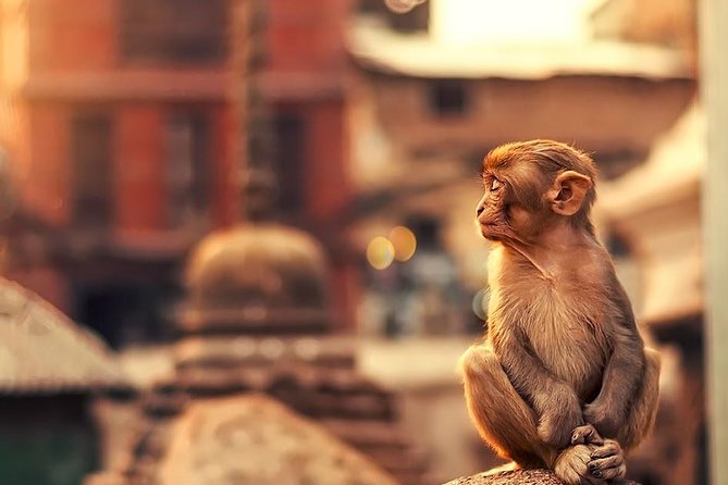 Kathmandu Buddhist Tour - Cultural Immersion Opportunities