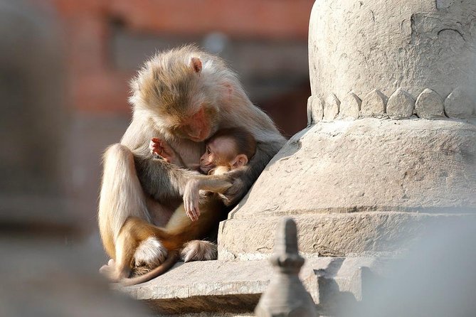 Kathmandu Buddhist Tour - Exploring Buddhist Art and Architecture