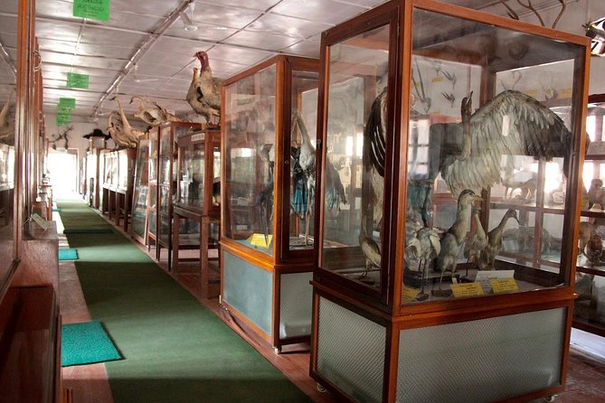 Kathmandu Buddhist Tour - Local Cuisine and Dining Experiences