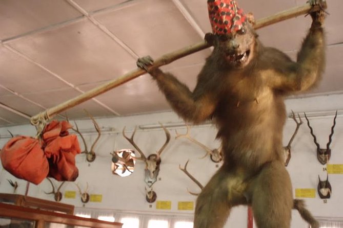 Kathmandu Buddhist Tour - Common Questions