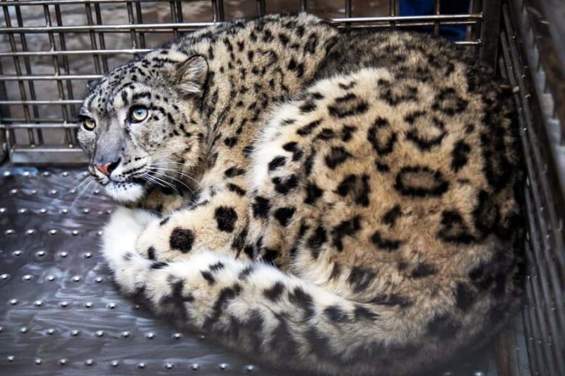 Kathmandu: Central Zoo Tour - Good To Know