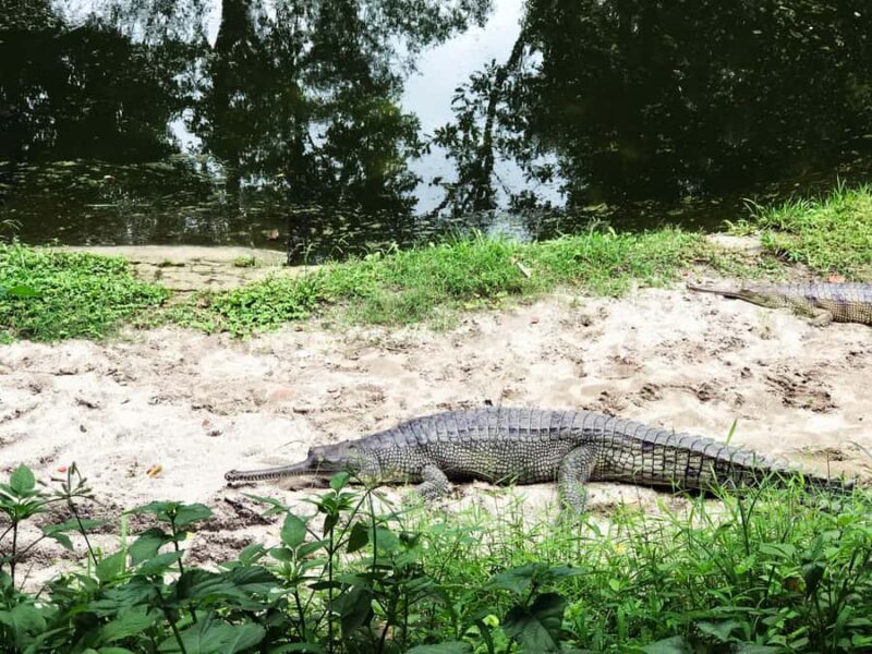 Kathmandu: Central Zoo Tour - Final Thoughts