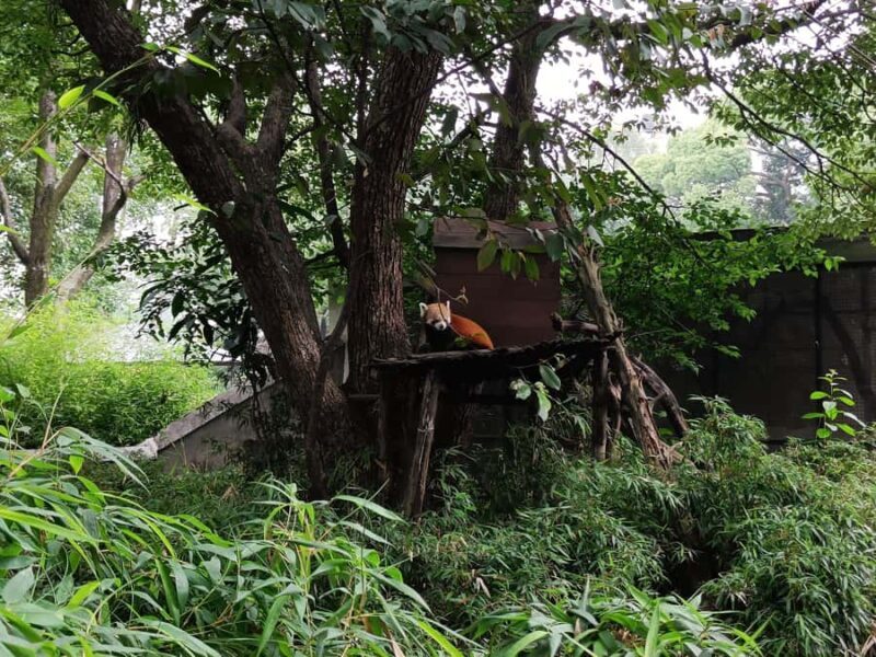 Kathmandu: Central Zoo Tour - FAQs