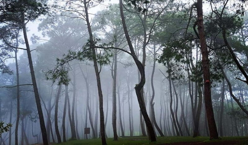 Kathmandu: Champadevi Hill Guided Hike with Lunch - Final Thoughts