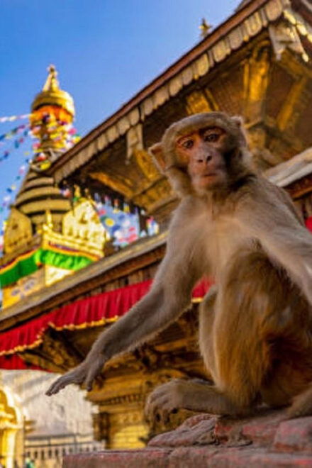 Kathmandu: Chandragiri Cable Car & Monkey Temple Day Tour - Highlights of the Experience