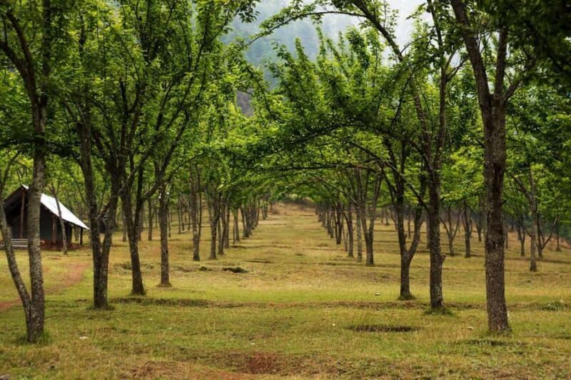 Kathmandu: Chitlang Wine Tasting Tour with Lunch & Guide - Who is this tour best suited for?