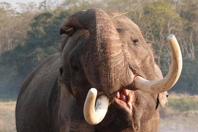 Kathmandu Chitwan Lumbini Pokhara Tours - Itinerary Overview