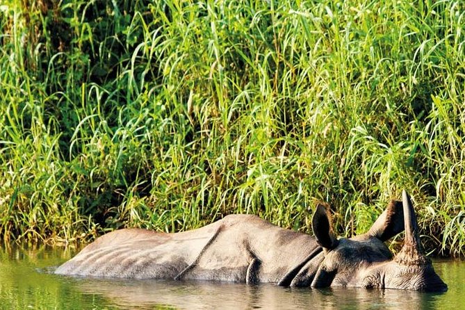 Kathmandu Chitwan Lumbini Pokhara Tours - Meeting and Pickup Details