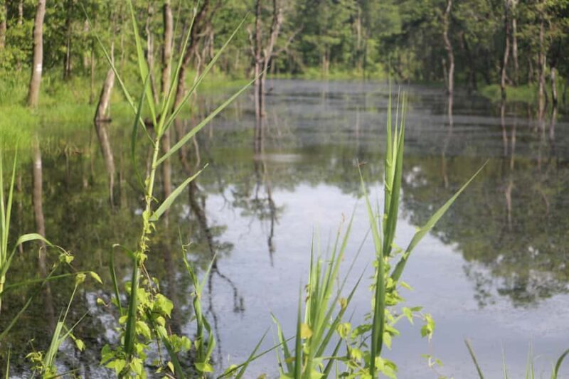 Kathmandu: Chitwan National Park & Lumbini 4-Day Tour - Value and Cost Consideration