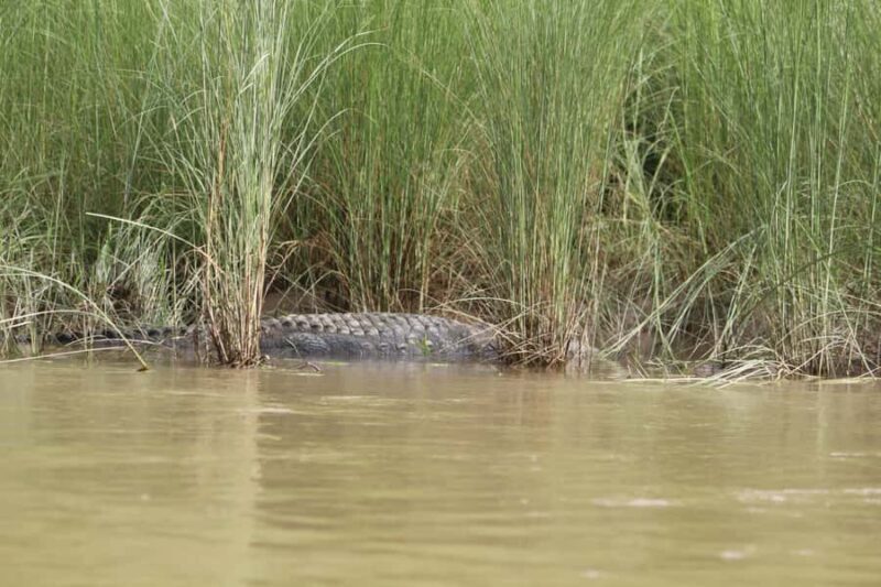 Kathmandu: Chitwan National Park & Lumbini 4-Day Tour - Practical Considerations & Tips