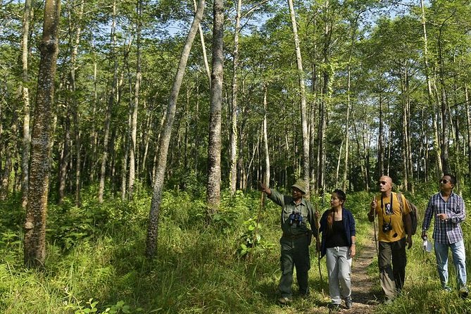 Kathmandu, Chitwan, Pokhara 8-Day Nepal Golden Triangle Tour - Common Questions