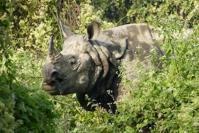 Kathmandu Chitwan Pokhara - The Sum Up