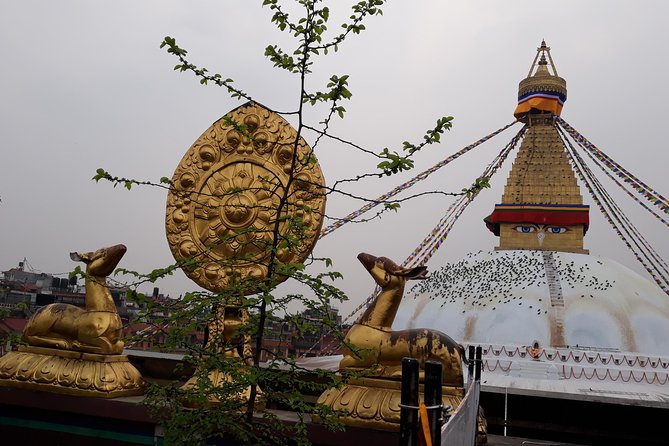 Kathmandu Chitwan Pokhara Tour - The Sum Up