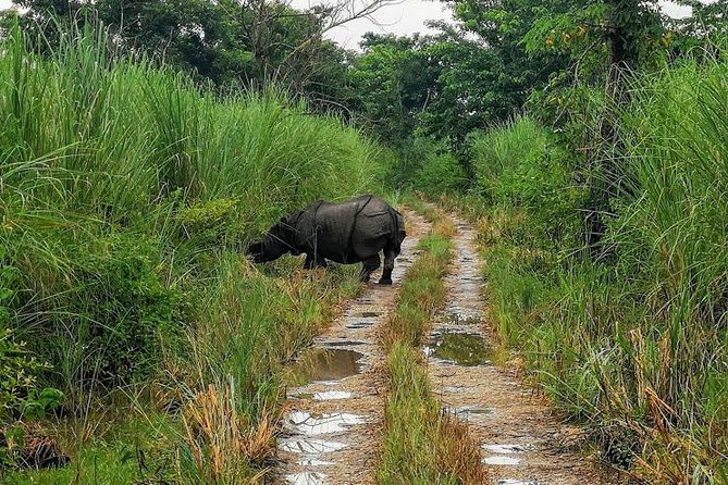 Kathmandu Chitwan Pokhara Tour - Itinerary Overview