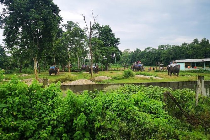 Kathmandu Chitwan Pokhara Tour - Travel Tips and Recommendations