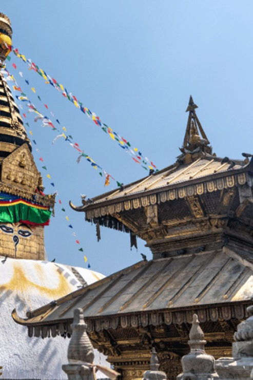 Kathmandu City Private Walking Tour: Monkey Temple/ Shyambhu - Highlights of the Tour