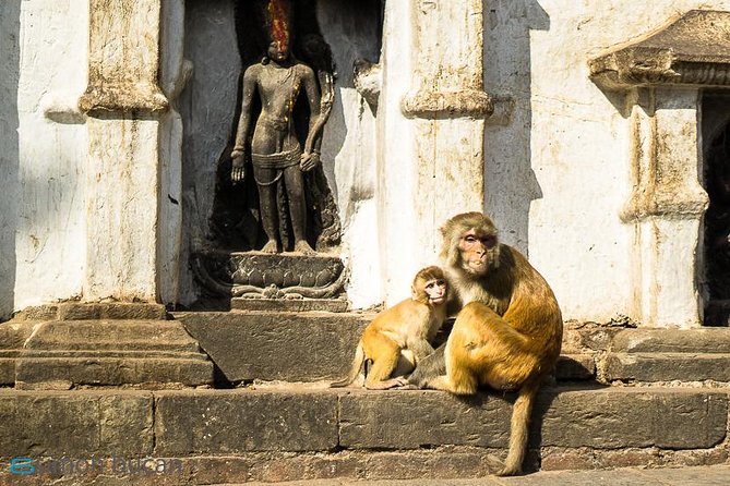 Kathmandu City Tour - Inclusions and Exclusions