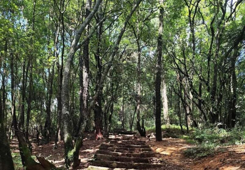 Kathmandu Day Hike to Nagarjun Jamacho with Hotel Pickup - Final Thoughts: Is this tour worth it?