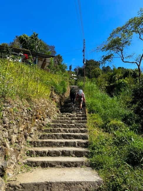 Kathmandu: Day Hike with Breakfast and Lunch - Trekking Through Shivapuri National Park