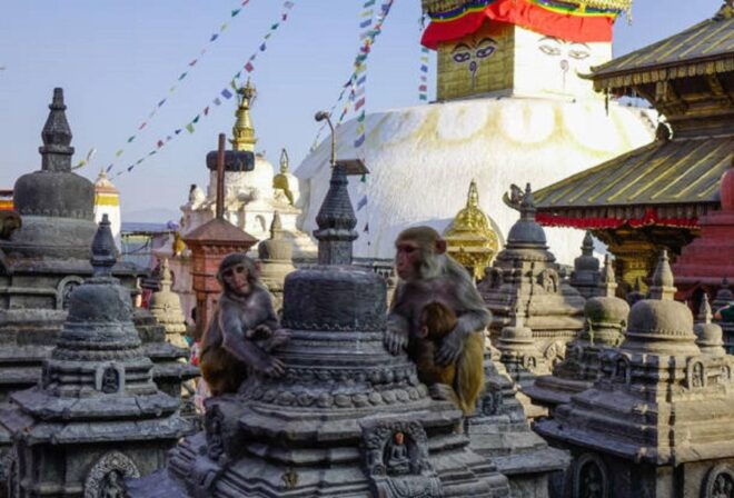 Kathmandu Durbar Square & Swyambhunath Unesco Heritage Tour - Journey to Swyambhunath