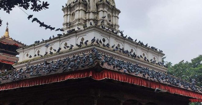 Kathmandu Full Day Tour - Kathmandu Durbar Square