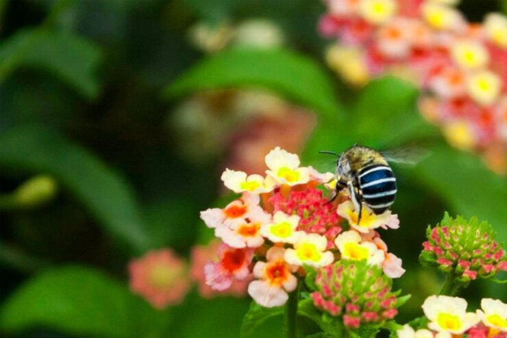 Kathmandu: Godavari Botanical Garden Full-Day Tour - Experience Highlights