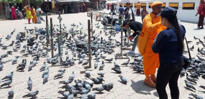 Kathmandu: Guided -Day Tour of World Heritage Sites - Reviews From Satisfied Travelers