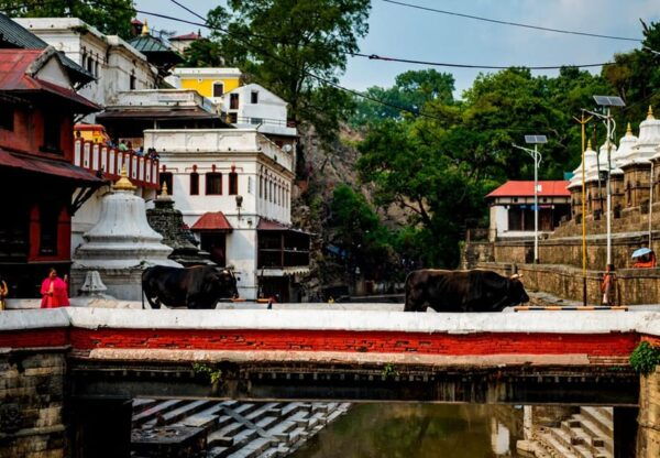 Kathmandu Guided Day Tour - Questions You May Have