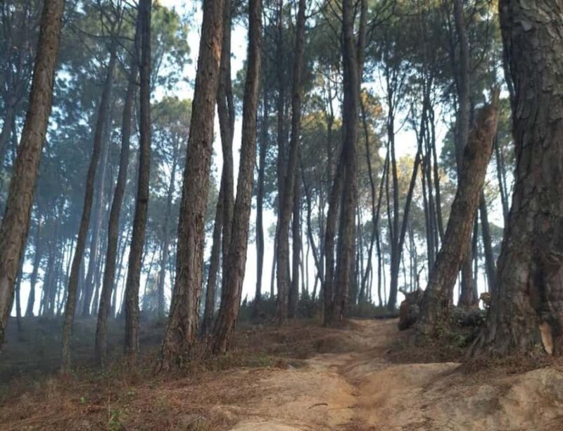 Kathmandu: Guided White Gumba Monastery Walk - Final Thoughts