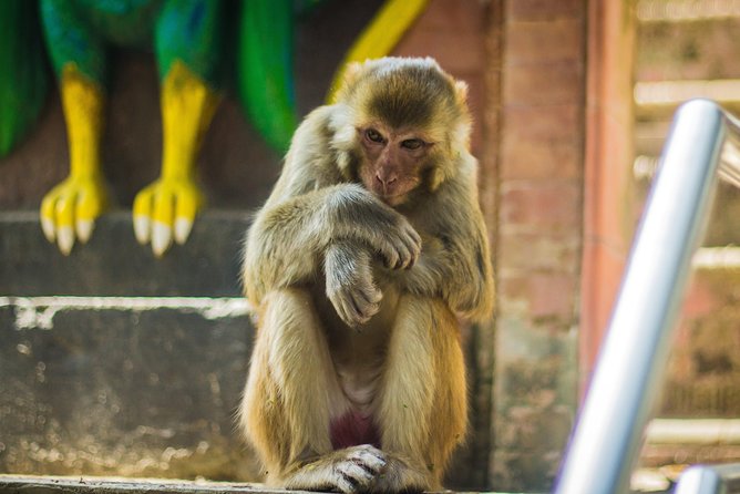 Kathmandu Heritage Sites Sightseeing Tour - Guided Tour of Kathmandu Heritage Sites