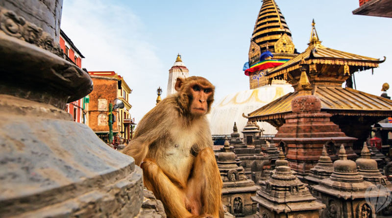 Kathmandu Heritage Tour - Exploring Durbar Square and Hanuman Dhoka