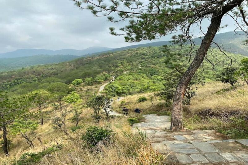 Kathmandu: Hike, Heritage & Holiness | Champadevi day Hiking - Final Thoughts  