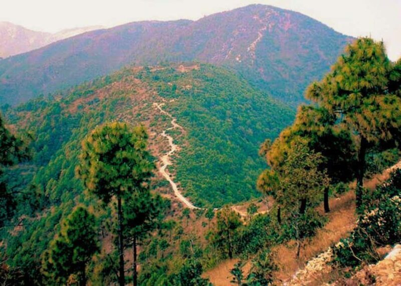 Kathmandu: Hike, Heritage & Holiness | Champadevi day Hiking - Good To Know  