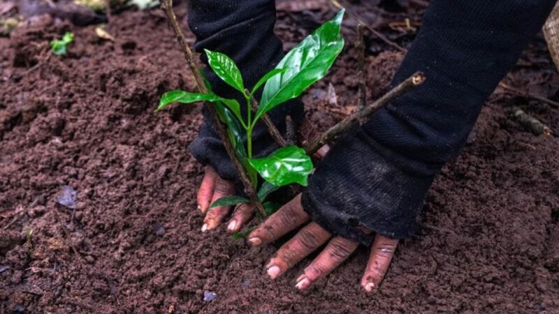 Kathmandu: Hike JamaChwok & Tree Planting for carbon neutral - Return Journey and Final Impressions