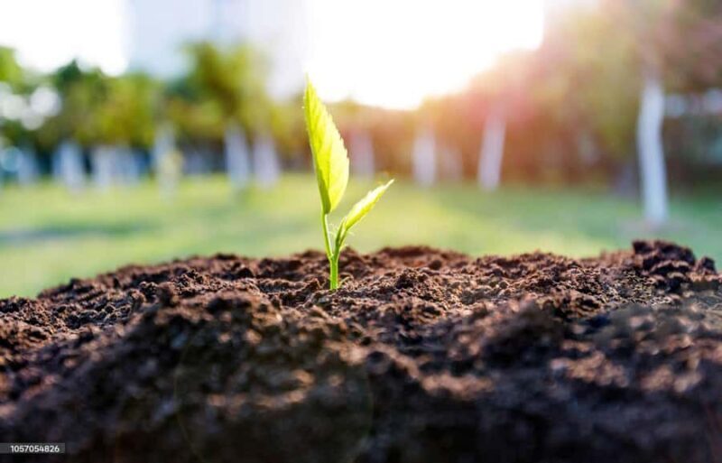 Kathmandu: Hike JamaChwok & Tree Planting for carbon neutral - Good To Know