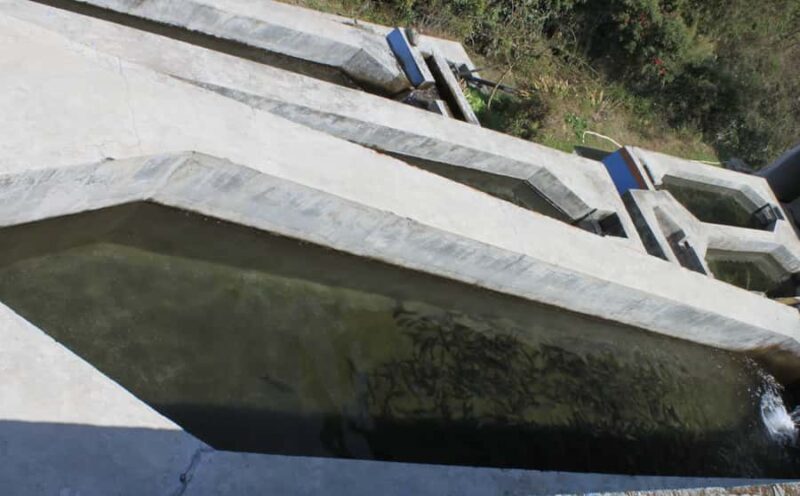 Kathmandu: Himalayan Viewpoint & Trout Fishing Tour - Good To Know  