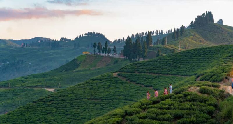 Kathmandu: Ilam Tea Garden & Sunrise 3-Day Tour - An Authentic Escape to Nepal’s Eastern Hills