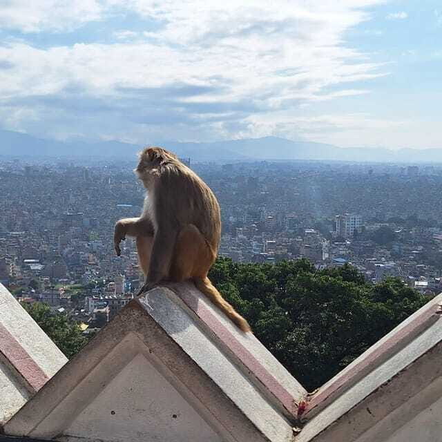 Kathmandu: Inner City Tour with 3 UNESCO World Heritage - Final Thoughts: Is This Tour Worth It?