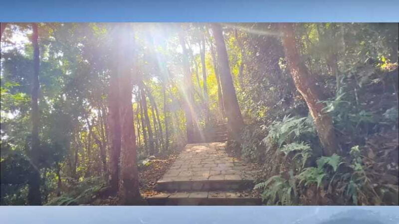 Kathmandu: Jamacho, 4 hours hiking near thamel - The Journey to Jamacho: What to Expect