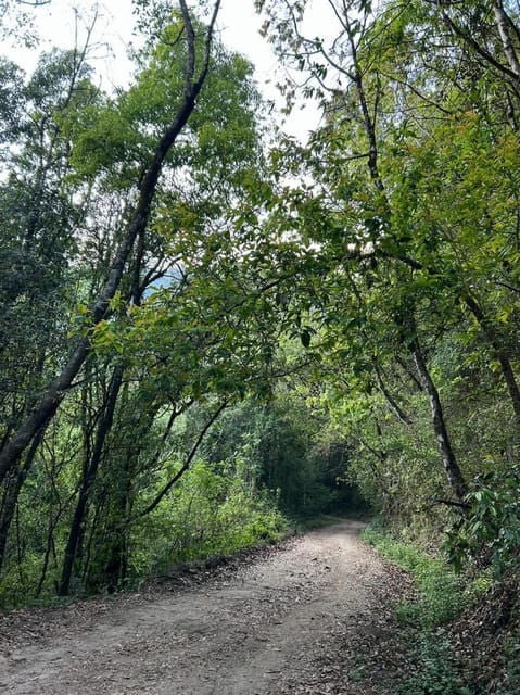 Kathmandu: Jamacho( Nagarjung Danda) Day Hike - Itinerary Details